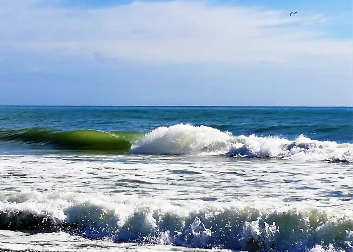 Appartement Estudio Con Encanto En La Carihuela