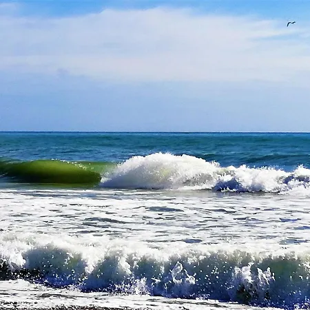 Apartamento Estudio Con Encanto En La Carihuela